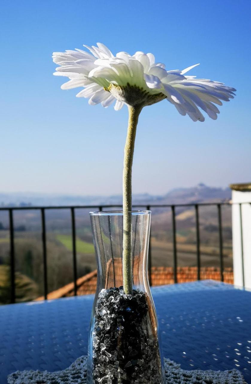 La Maggiorina Aparthotel Agliano Terme Exterior foto