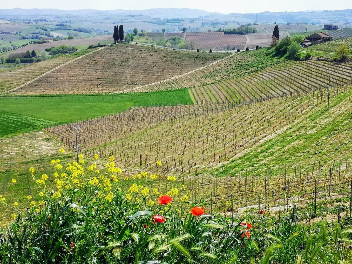 La Maggiorina Aparthotel Agliano Terme Exterior foto